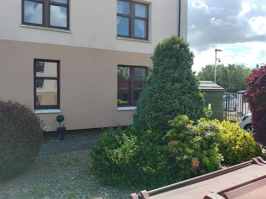 Lovely 2 Bedroom Apartment In Heart Of Dundee Kültér fotó